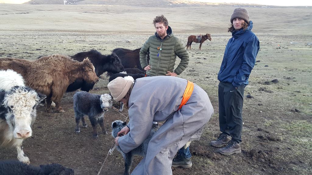 Vast Mongolia Tour & Hostel Ulaanbaatar Bagian luar foto